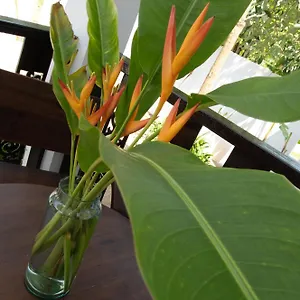 Villa Chalisa, Ko Tao