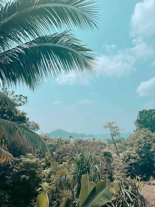 Coconut Grove House Tropical Private Pool Villa Ko Tao Tayland