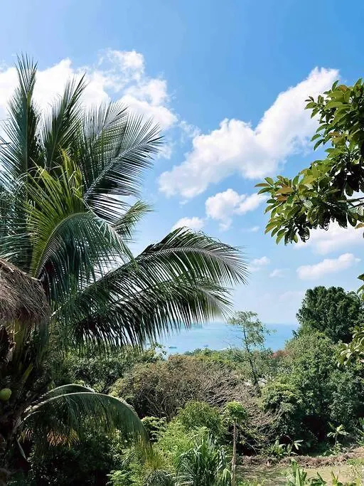 Coconut Grove House Tropical Private Pool Villa Ko Tao
